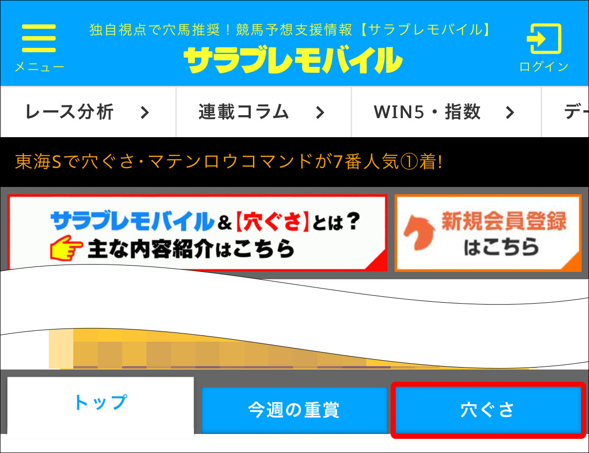 srbr_top-Runninglist.jpg