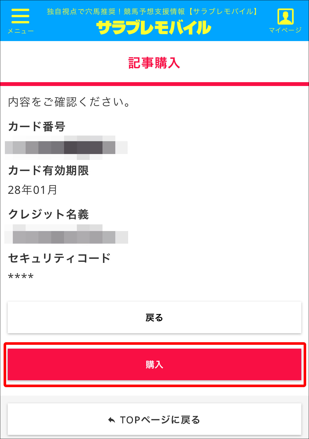 srbr_plus-CreditCard-Payment.jpg